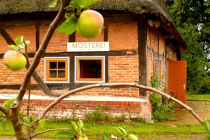 Mosterei-Gebäude Historisches Mosterei-Gebäude mit Apfelbaum im Vordergrund